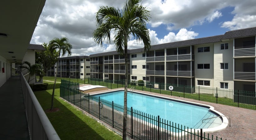 Spectra Palms